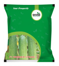Cucumber Wonder Strike 10 grams